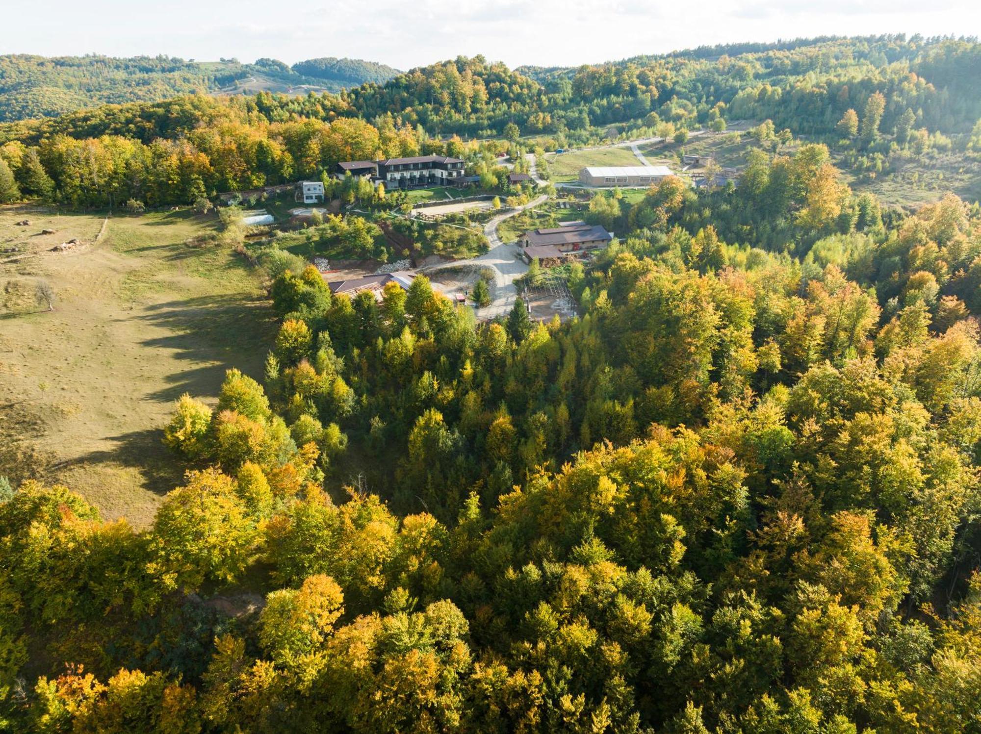 Potcoava Mountain Hideaway Hotel Runcu  Bagian luar foto