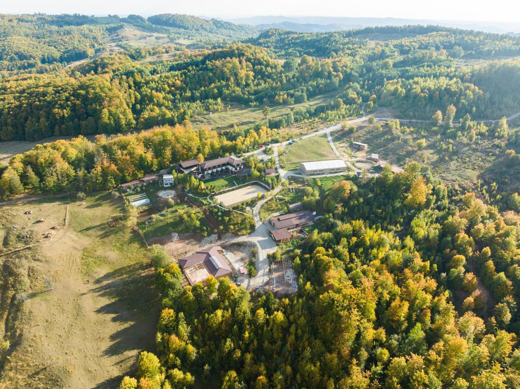 Potcoava Mountain Hideaway Hotel Runcu  Bagian luar foto